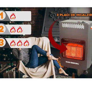 SOBA PE GAZ SI ELECTRIC