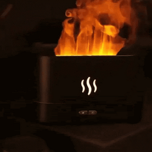 UMIDIFICATOR FLACARA