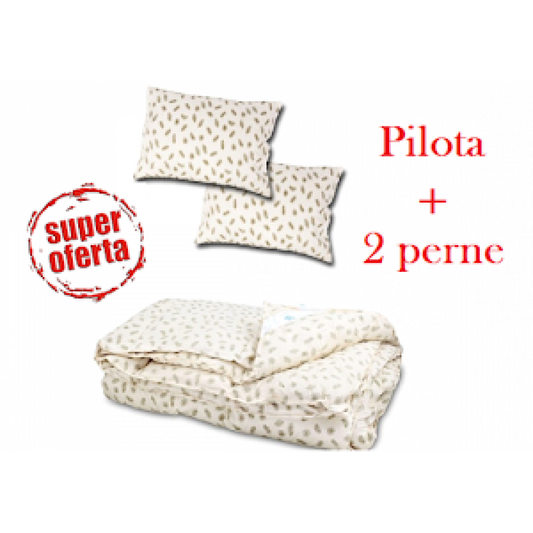 Set din puf si pene de gasca: Pilota dubla 200 x 230 cm + 2 perne 50 x 70 cm